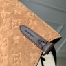 Сумка Louis Vuitton All in One