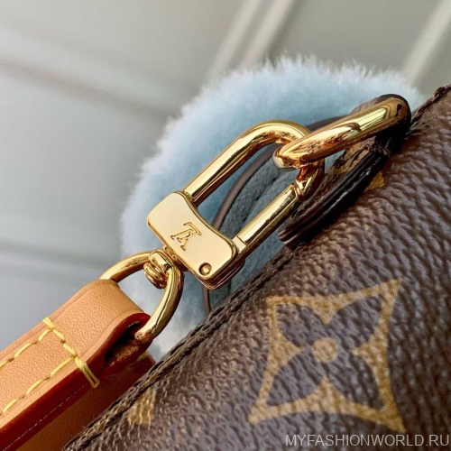 Сумка Louis Vuitton Vivienne