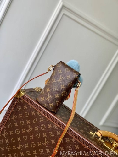 Сумка Louis Vuitton Vivienne