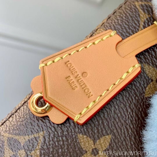 Сумка Louis Vuitton Vivienne