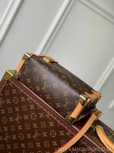 Сумка Louis Vuitton Side Trunk MM