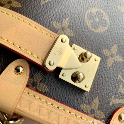 Сумка Louis Vuitton Side Trunk MM