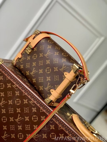 Сумка Louis Vuitton Side Trunk MM