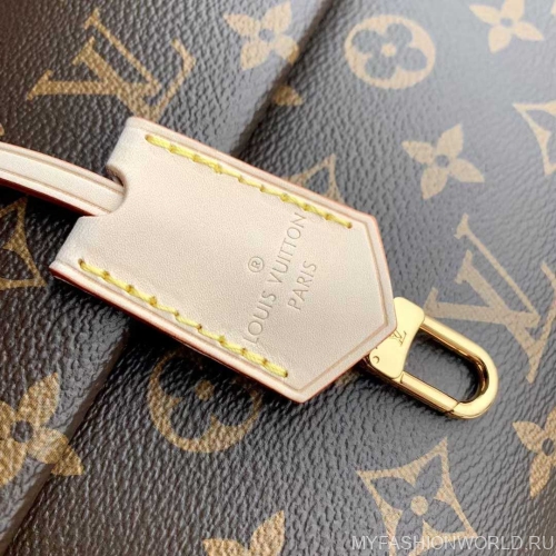 Сумка Louis Vuitton Cluny mini