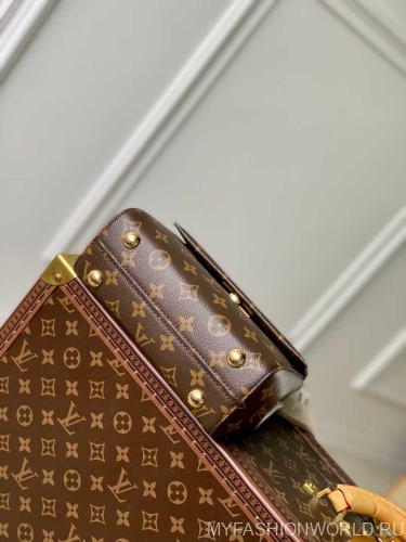 Сумка Louis Vuitton Cluny mini