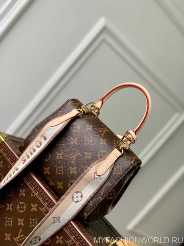 Сумка Louis Vuitton Cluny mini