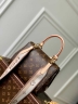 Сумка Louis Vuitton Cluny mini