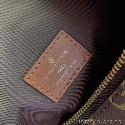 Сумка Louis Vuitton Loop Hobo