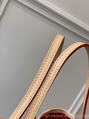 Сумка Louis Vuitton Neverfull small
