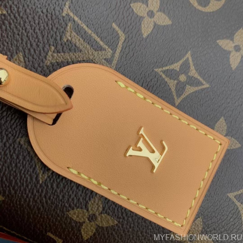 Сумка Louis Vuitton Carry All PM
