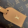 Сумка Louis Vuitton Carry All PM