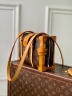 Сумка Louis Vuitton Malle de Jour