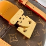 Сумка Louis Vuitton Malle de Jour