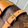 Сумка Louis Vuitton Malle de Jour