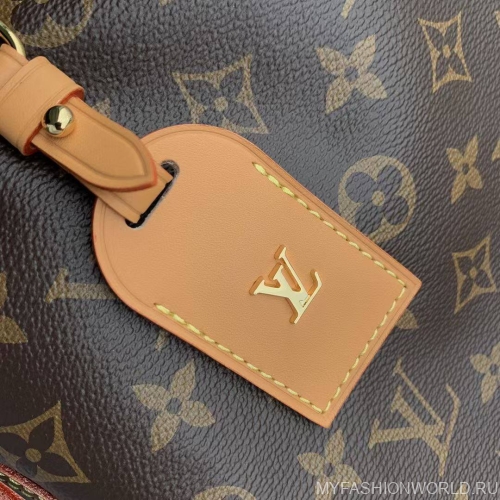 Сумка Louis Vuitton Carry All MM