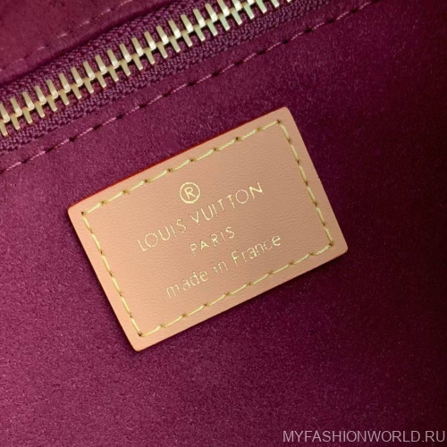 Сумка Louis Vuitton Carry All BB