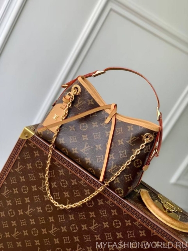 Сумка Louis Vuitton Carry All BB