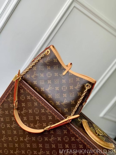 Сумка Louis Vuitton Carry All BB