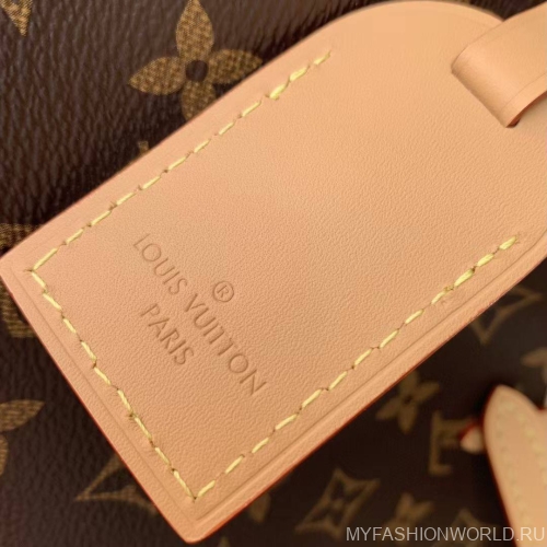 Сумка Louis Vuitton Carry All BB