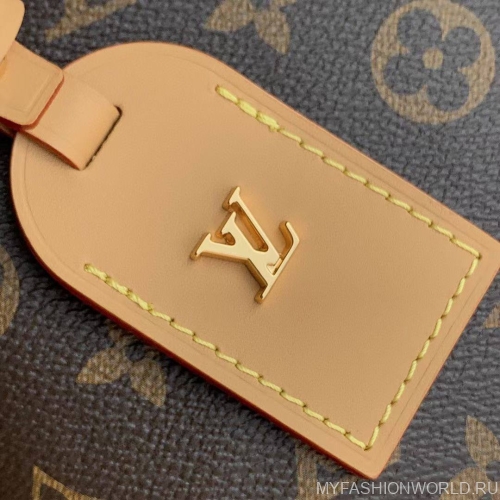 Сумка Louis Vuitton Carry All BB