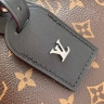 Сумка Louis Vuitton Speedy Soft 30 Dark