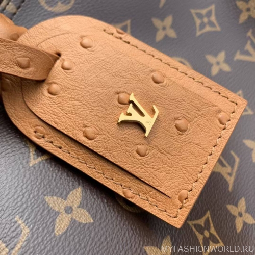 Сумка Louis Vuitton Speedy Soft 30 Boho 