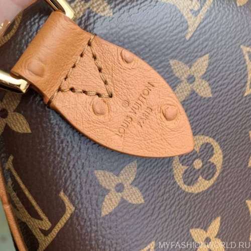 Сумка Louis Vuitton Speedy Soft 30 Boho 