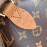 Сумка Louis Vuitton Speedy Soft 30 Boho 