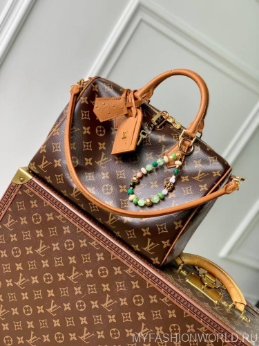 Сумка Louis Vuitton Speedy Soft 30 Boho 
