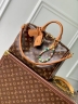 Сумка Louis Vuitton Speedy Soft 30 Boho 