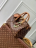 Сумка Louis Vuitton Speedy Soft 30 Boho 
