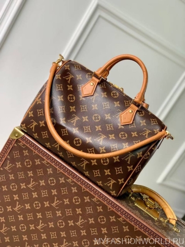 Сумка Louis Vuitton Speedy Soft 30 Boho 