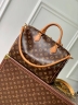 Сумка Louis Vuitton Speedy Soft 30 Boho 