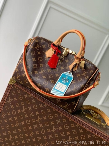 Сумка Louis Vuitton Speedy Soft 30 Crafty