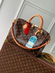 Сумка Louis Vuitton Speedy Soft 30 Crafty