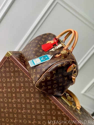 Сумка Louis Vuitton Speedy Soft 30 Crafty
