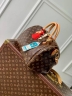 Сумка Louis Vuitton Speedy Soft 30 Crafty
