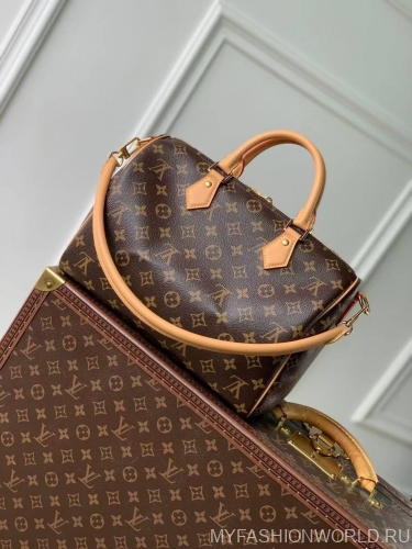 Сумка Louis Vuitton Speedy Soft 30 Crafty