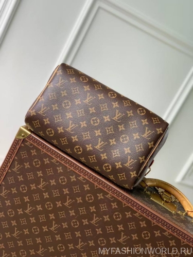 Сумка Louis Vuitton Speedy Soft 30 Crafty