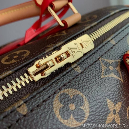 Сумка Louis Vuitton Speedy Soft 30 Crafty
