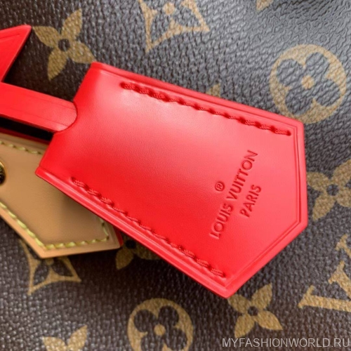 Сумка Louis Vuitton Speedy Soft 30 Crafty