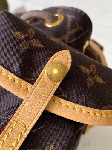 Рюкзак Louis Vuitton Diane Nano Christopher East West