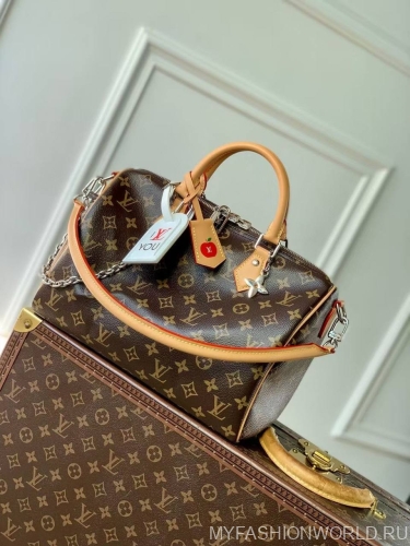 Сумка Louis Vuitton Speedy Soft 30 Crafty