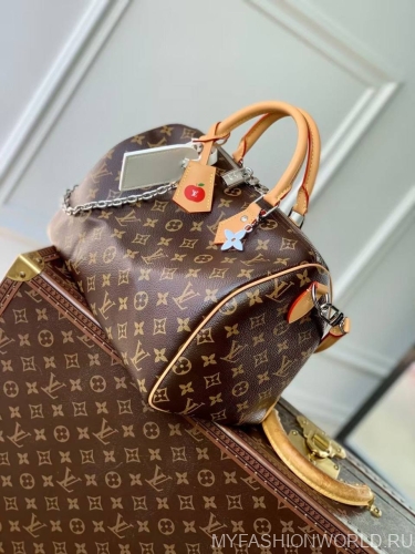Сумка Louis Vuitton Speedy Soft 30 Crafty