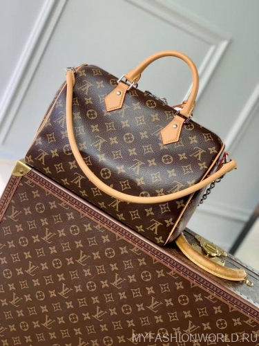 Сумка Louis Vuitton Speedy Soft 30 Crafty