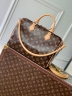 Сумка Louis Vuitton Speedy Soft 30 Crafty
