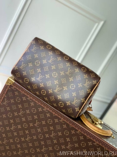 Сумка Louis Vuitton Speedy Soft 30 Crafty