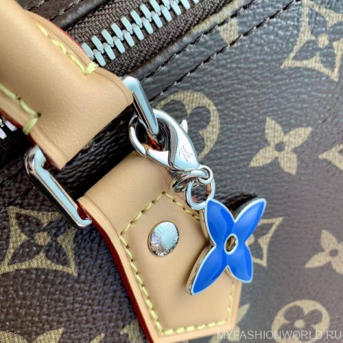 Сумка Louis Vuitton Speedy Soft 30 Crafty