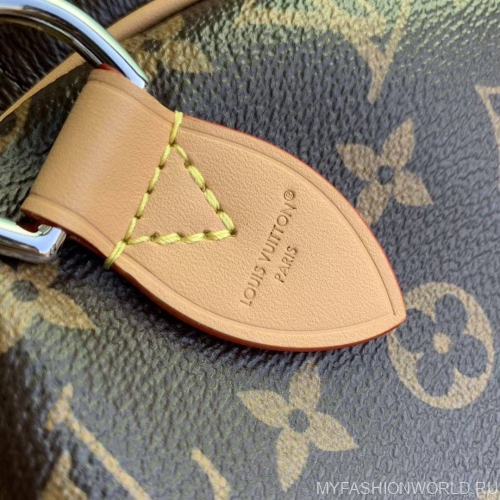 Сумка Louis Vuitton Speedy Soft 30 Crafty