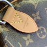 Сумка Louis Vuitton Speedy Soft 30 Crafty